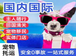 襄阳刘集航空物流国际宠物托运 【国
